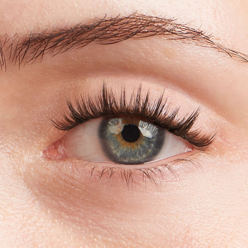 Natural Lashes
