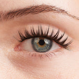 Extensions Lash