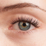 Natural Lashes