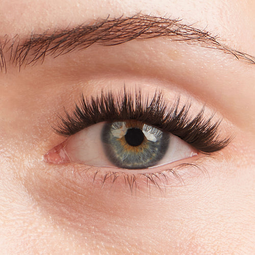 Natural Lashes