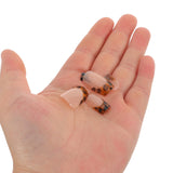 24pcs Leopard Print Press On Nails Full Cover Medium Length Stick On Artificial Fingernails For Women Easy Removable Manicure
