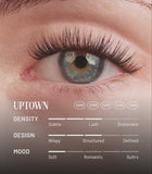 Extensions Lash
